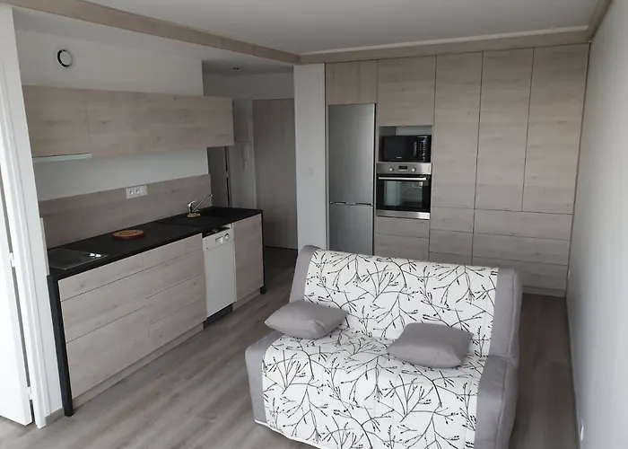 Appartement Le P'tit Benèze Royan